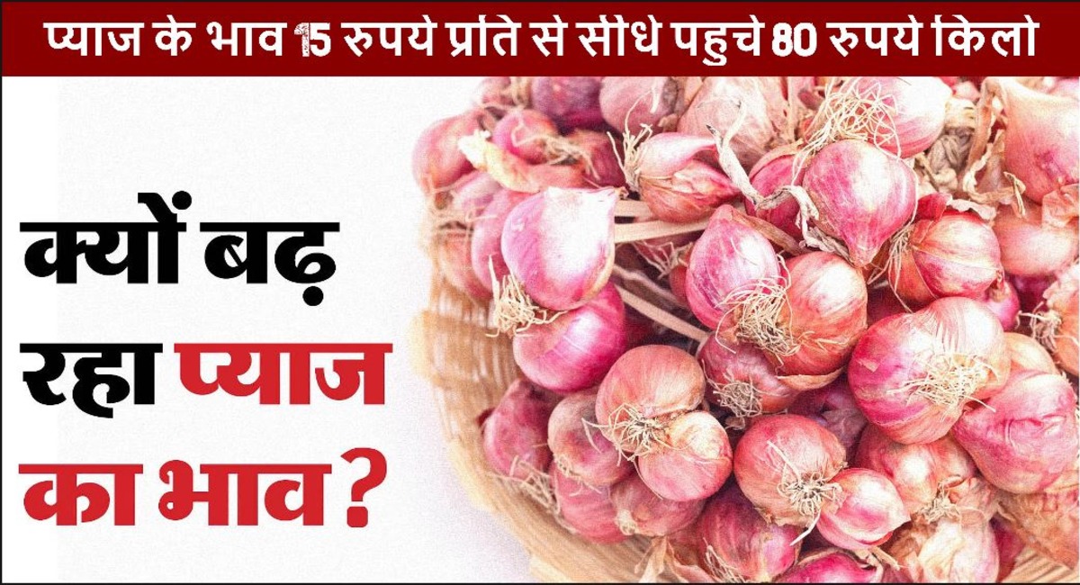 Onion Price : प्याज के भाव 15 रुपये प्रति से सीधे पहुचे 80 रुपये किलो, सरकार के फेसले से उपभोक्ताओ को होने लगी परेशानी,